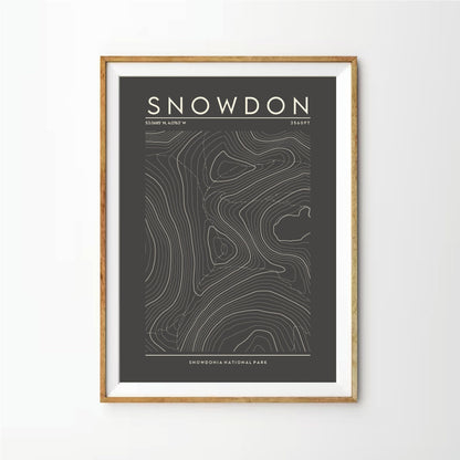 Snowdon Contour Print